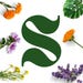 SyckoxArt store logo