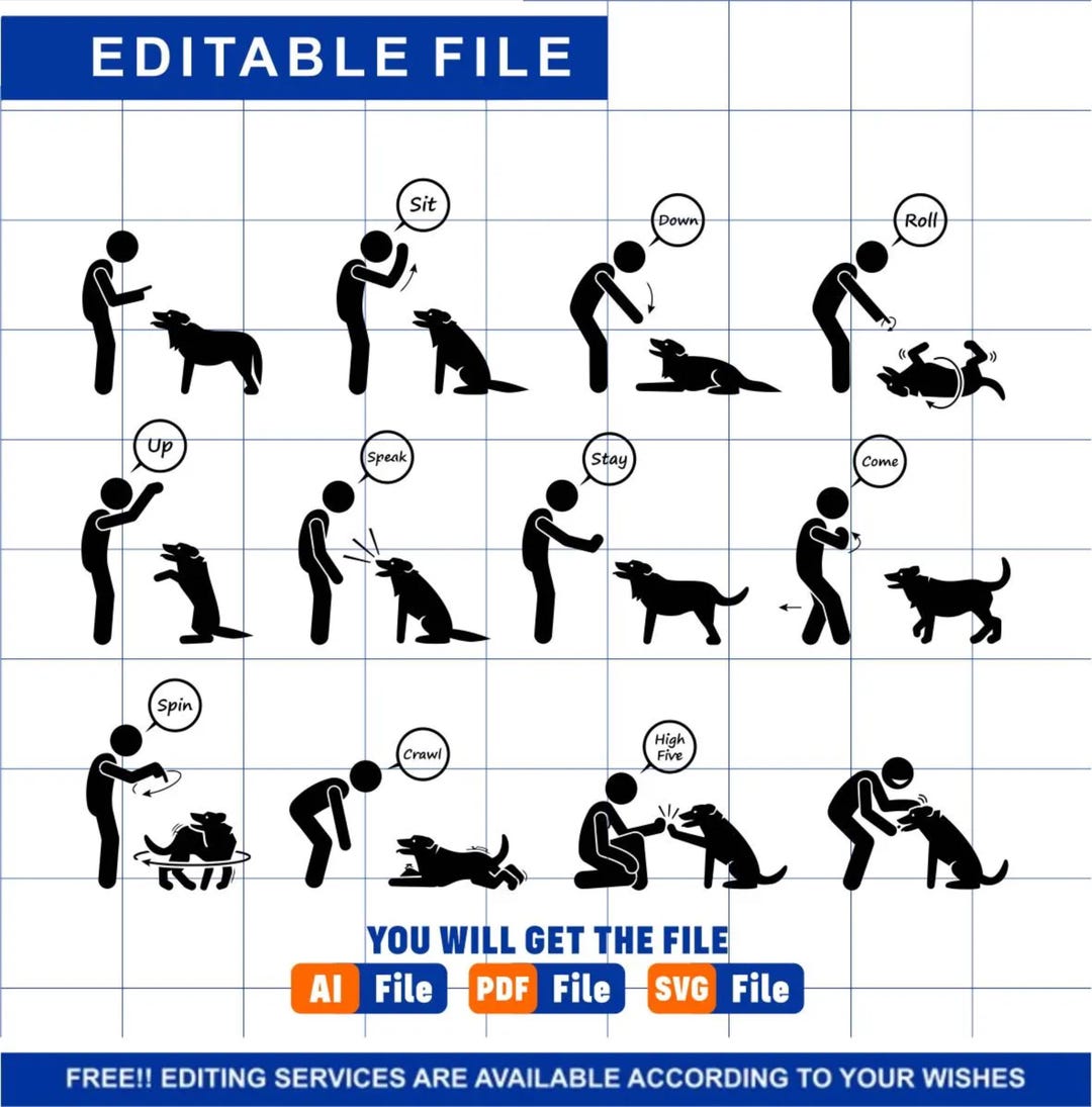 Basic Pet Dog Commands Behavioral Training Trainer Handler