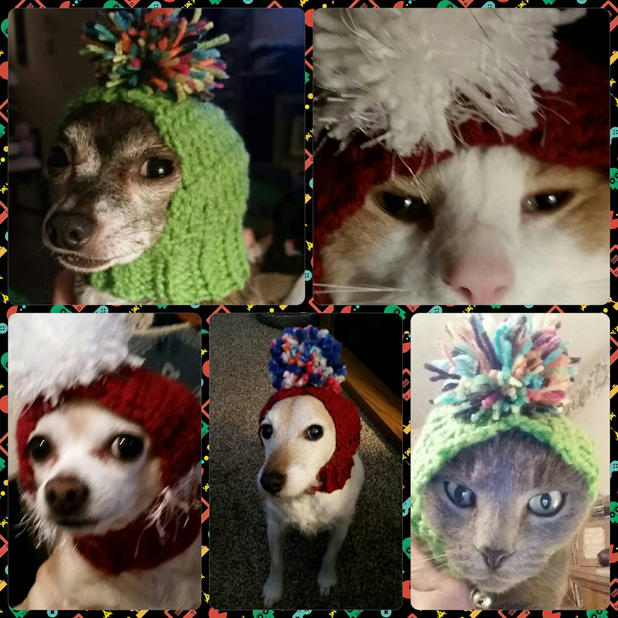 PDF Crochet Pattern for Doggie Reindeer Hat for Small Breed Etsy