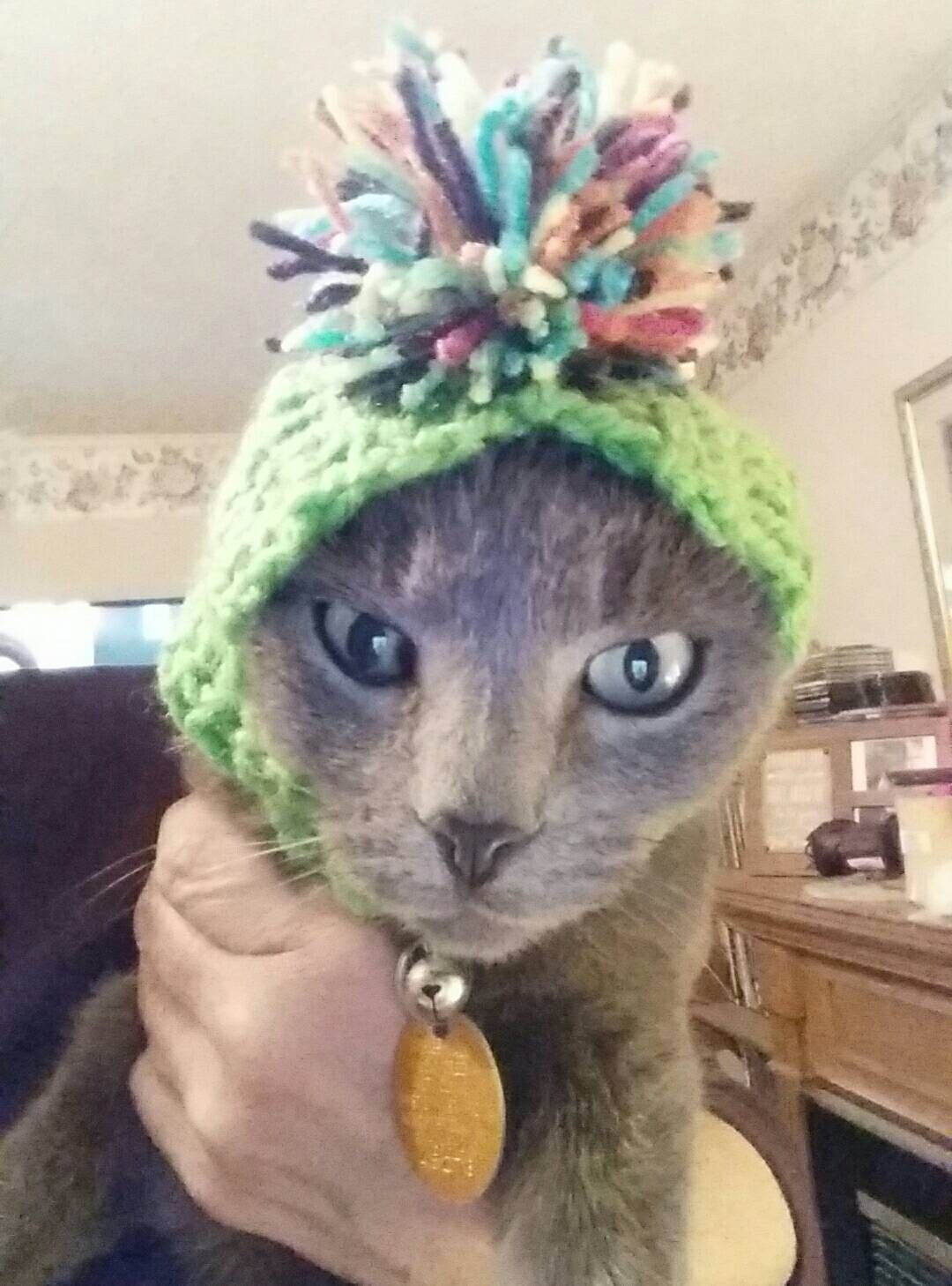 PDF Crochet Pattern for Doggie Reindeer Hat for Small Breed Etsy