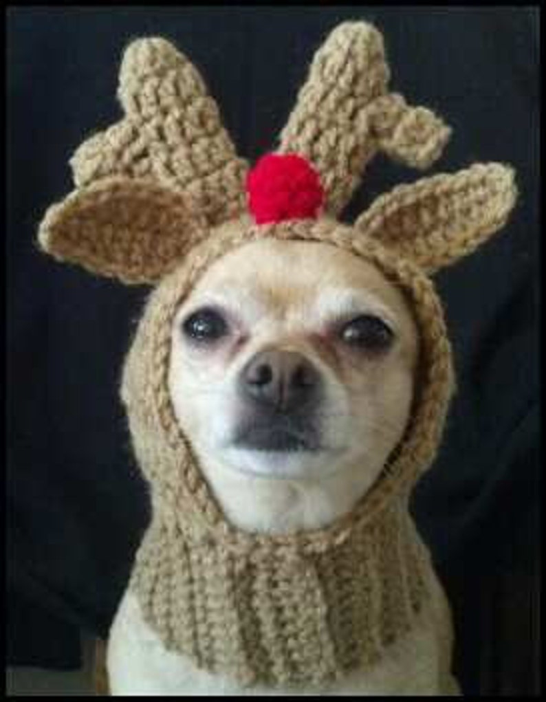 PDF Crochet Pattern for Doggie Reindeer Hat for Small Breed | Etsy