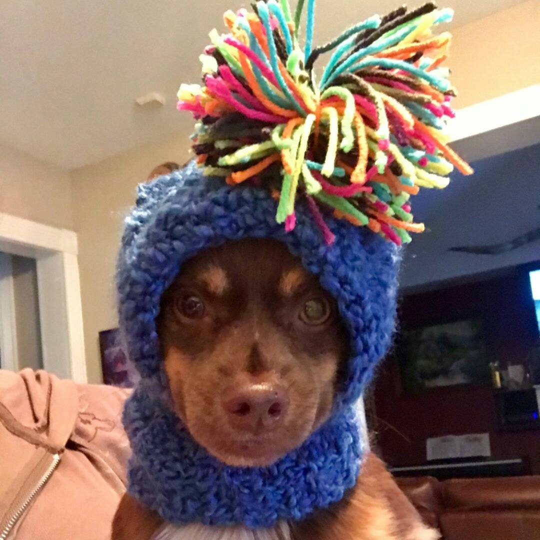 PDF Crochet Pattern for Doggie Reindeer Hat for Small Breed Etsy