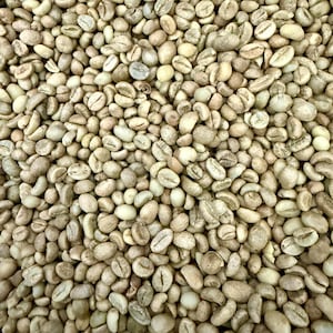 Könnte beinhalten: Nahaufnahme eines Haufens roher, ungerösteter Kaffeebohnen. Die Bohnen haben eine blassgrüne Farbe mit einer leicht strukturierten Oberfläche. Das Bild ist gut beleuchtet und zeigt die Details jeder Bohne.
