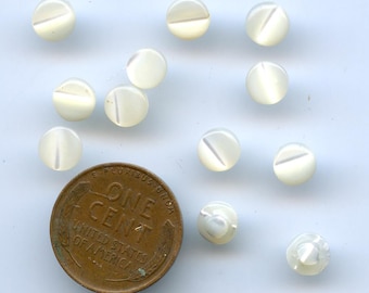 Shell Buttons Doll Baby Matching Set of (12) MOP Teeny Weeny 7mm 1/4 inch size Vintage Mother of Pearl 1003 MORE AVAILABLE