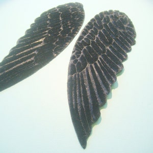 May include: Two black velvet angel wings with detailed feather patterns. The wings are slightly different sizes and are positioned against a light blue background. The wings have a textured appearance.