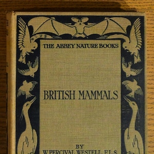 British Mammals · W. Percival Westell · Chapman & Dodd, 1920s · Hardback · Abbey Nature Books · Animal Life Britain