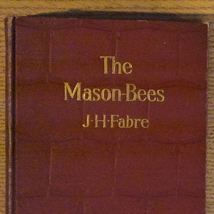 The Mason-Bees by J. Henri Fabre