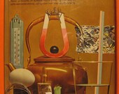 Exp&eacute;riences scientifiques One Hundred and One par Illa Podendorf - livre pour enfants Vintage des ann&eacute;es 60