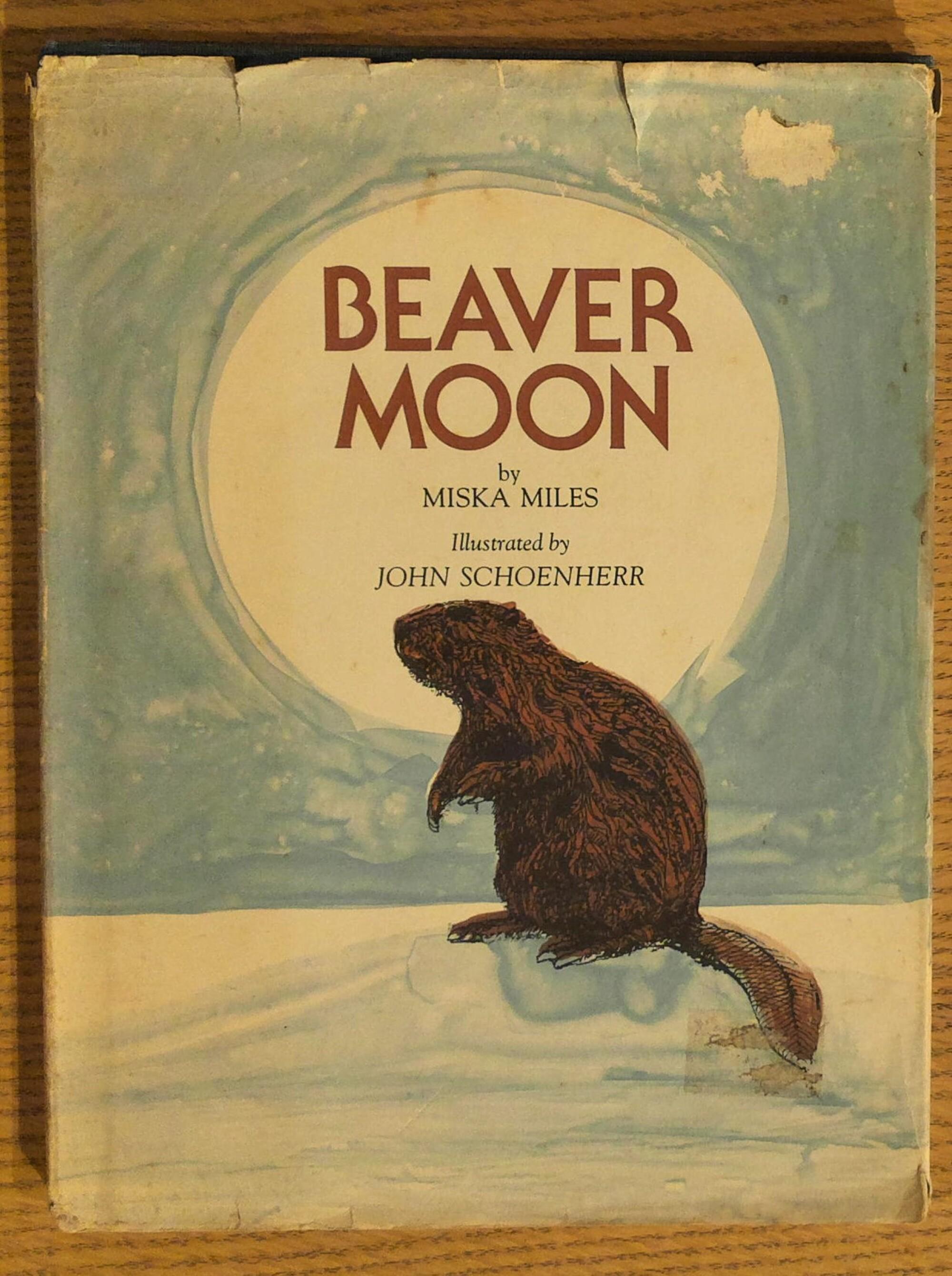 Beaver Moon by Miles, Miska (hardback book)