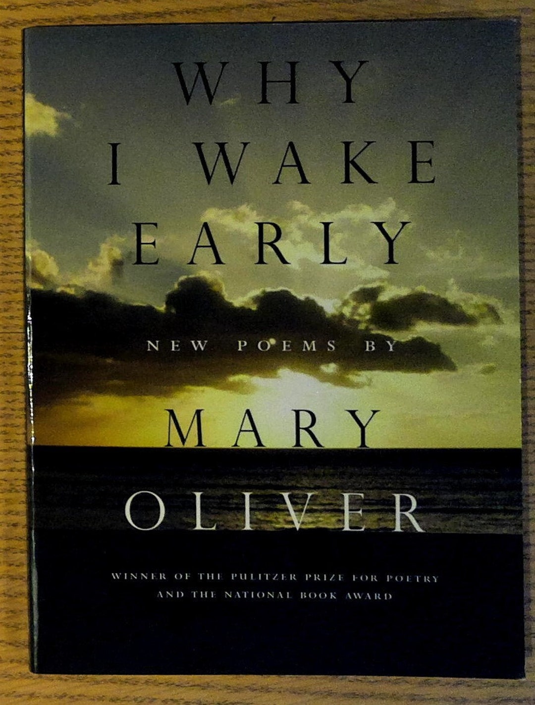 Why I Wake Early New Poems by Mary Oliver by Mary Oliver Etsy