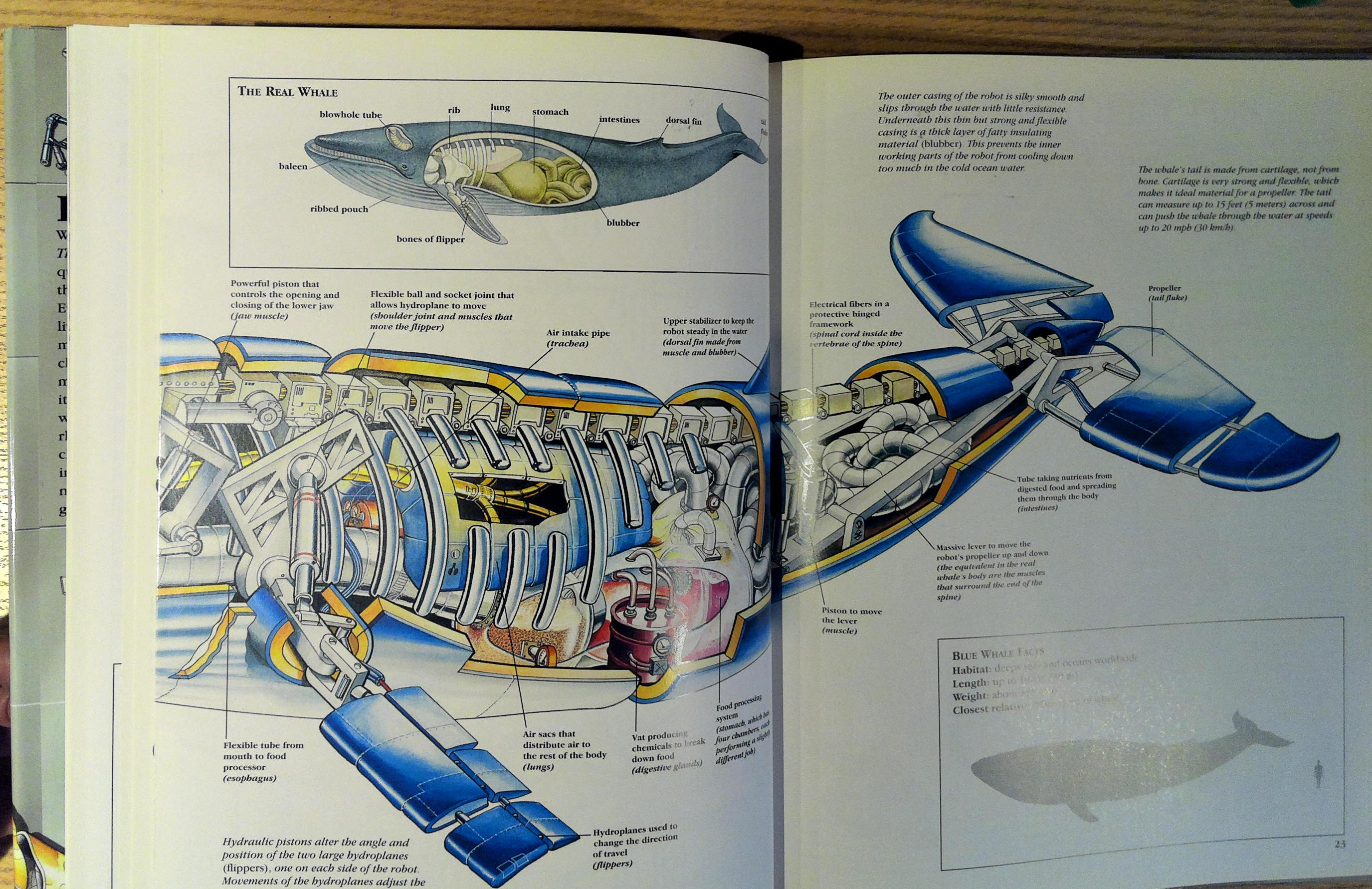 Zoo Guide Robot The Robot Zoo: A Mechanical Guide to the Way Animals Work by John Kelly ...