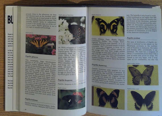 The Complete Encyclopedia of Butterflies: Describes the