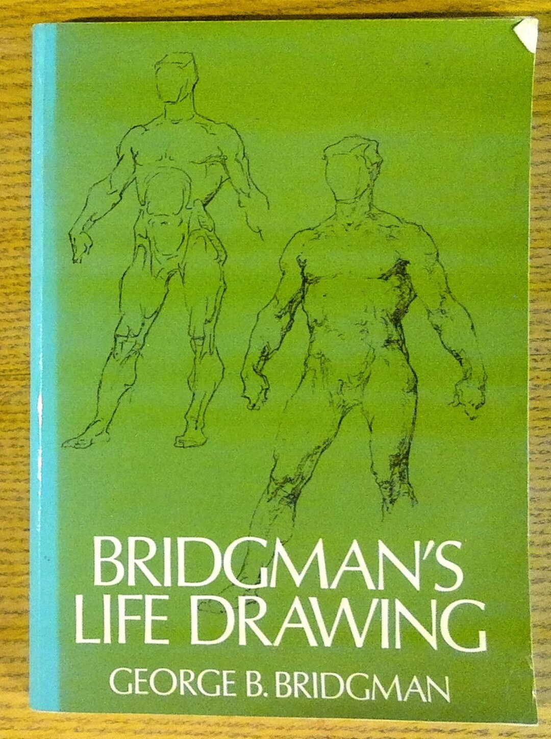 Bridgman's Life Drawing by B. Bridgman Etsy