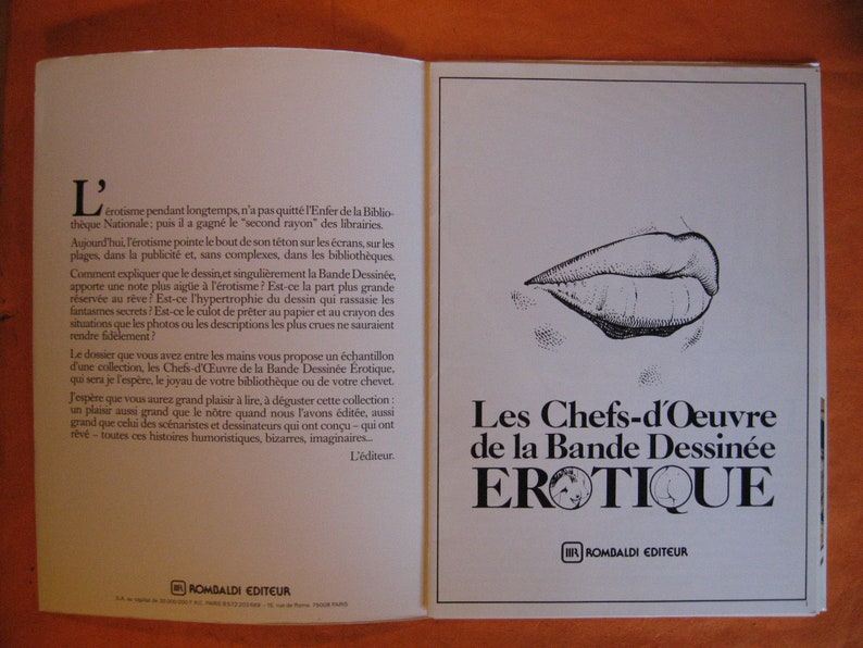 Les Chefs-d'oeuvre De La Bande Dessinee Erotique Grands - Etsy