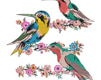 Diseño de bordado de colibrí floral, conjunto de diseños de bordado de pájaros florales, pájaros coloridos en una rama, patrón de jardín natural, 6 tamaños, descarga