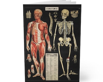 L'Anatomie A5 Softcover Notebook - 150 Page Lined Academic Journal - Unique Gift for Medical Students