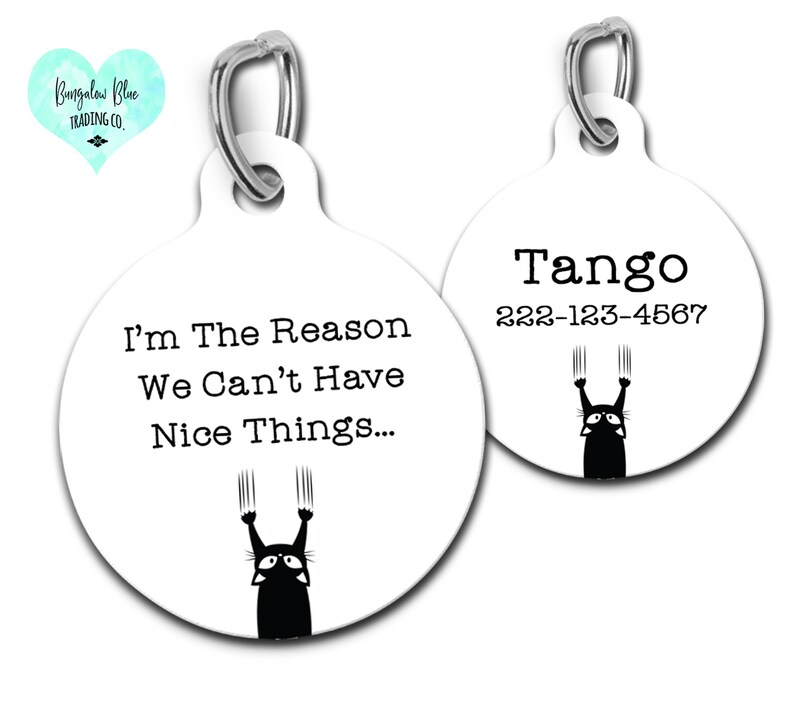 Personalized Custom Cat Tag Funny Cat Charm I'm the Reason Etsy