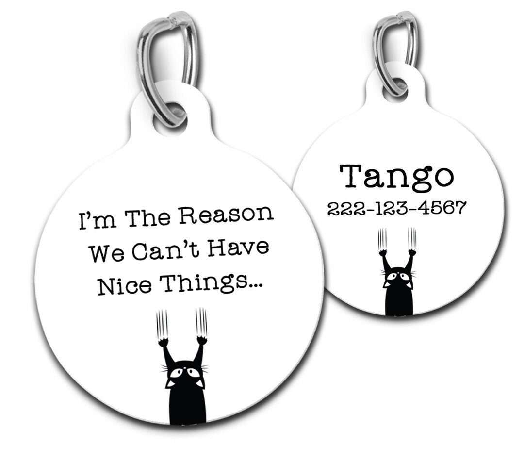 Personalized Custom Cat Tag Funny Cat Charm I'm the Reason Etsy