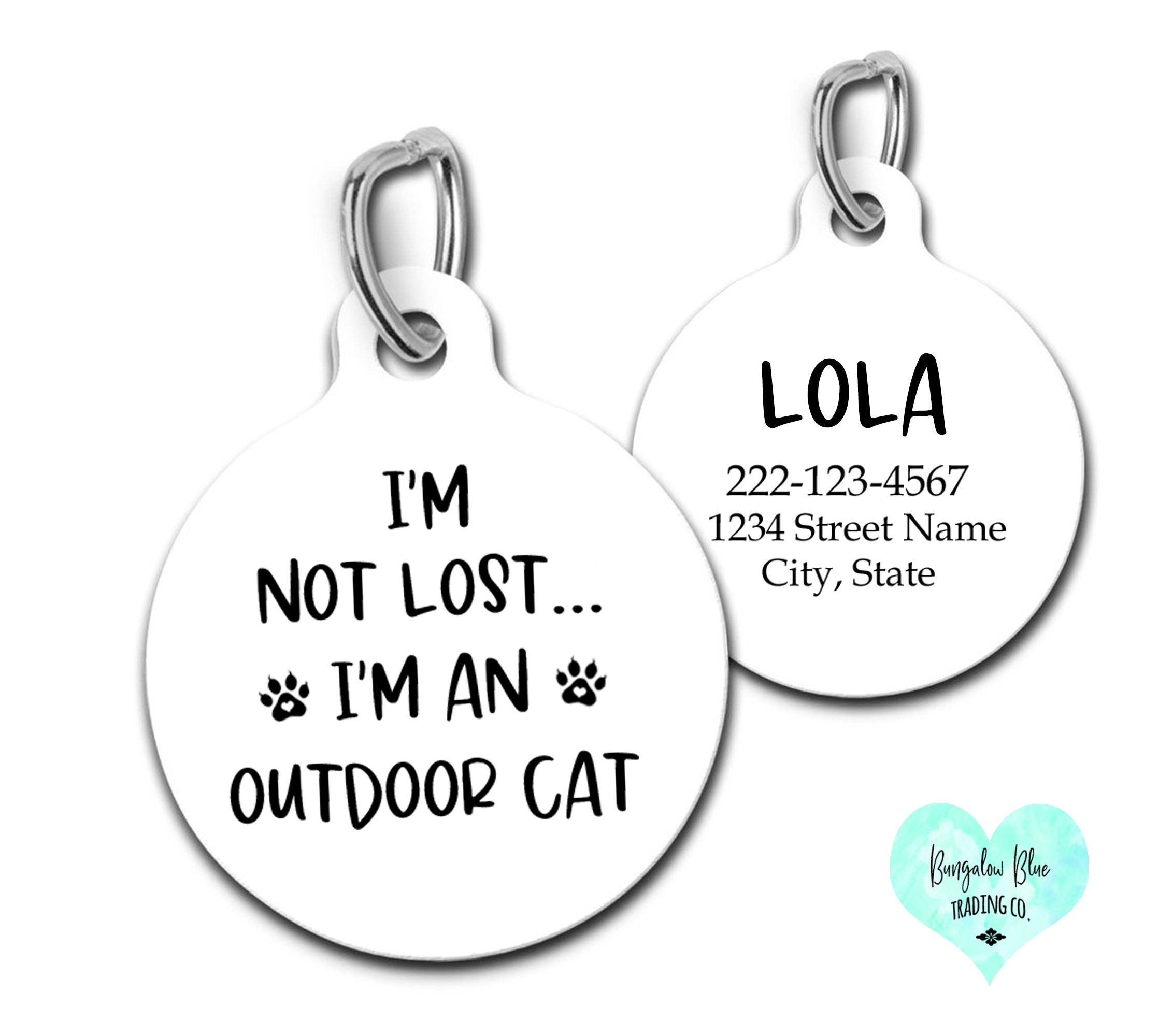Outdoor cat names online
