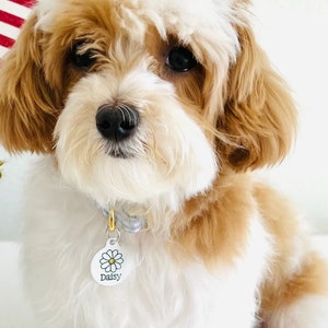 Daisy Pet id Tag, Cute Flower Dog Tag, Personalized Floral Pet Id Tag image 2