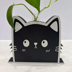 Peut inclure: Un pot de fleurs en forme de chat noir et blanc avec un petit vase en verre contenant une plante verte. Le pot a un joli visage de chat avec des yeux, un nez et des moustaches blancs. Le pot est en bois et est un objet décoratif.
