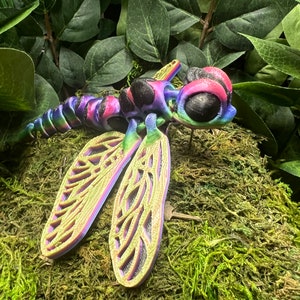 3D Printed Dragon Fly, by CinderWing3D