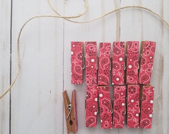 Baby Shower Clothesline Gift - Country Red Bandanna Paisley - Chunky Mini Clothespin Clips w Twine for Display - Set of 12 - Farmhouse Chic
