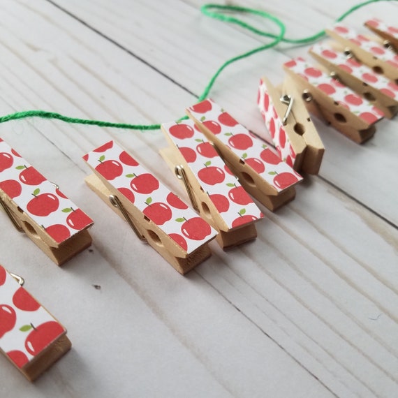 Natural Summer Romantic Wild Flowers Clips w Twine for Photo Display Wedding Shower Clothesline Chunky Little Clothespin Set of 12