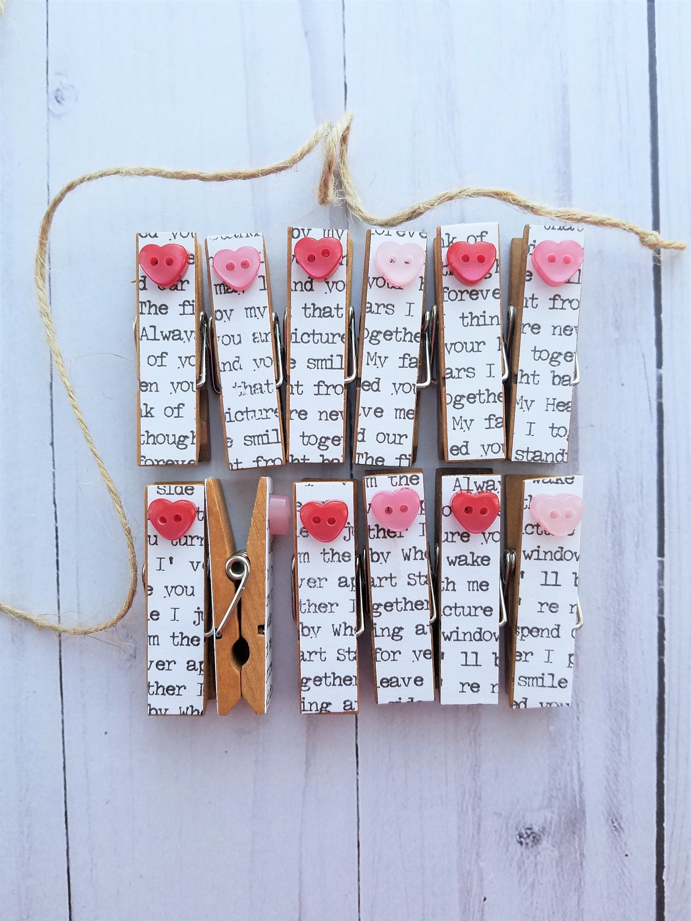 Teeny Tiny Birds, Clothesline Clips W Twine for Photo Display, Chunky  Little Clothespin Set of 12, Gifts for Her, Birdwatcher, Bird Lover 