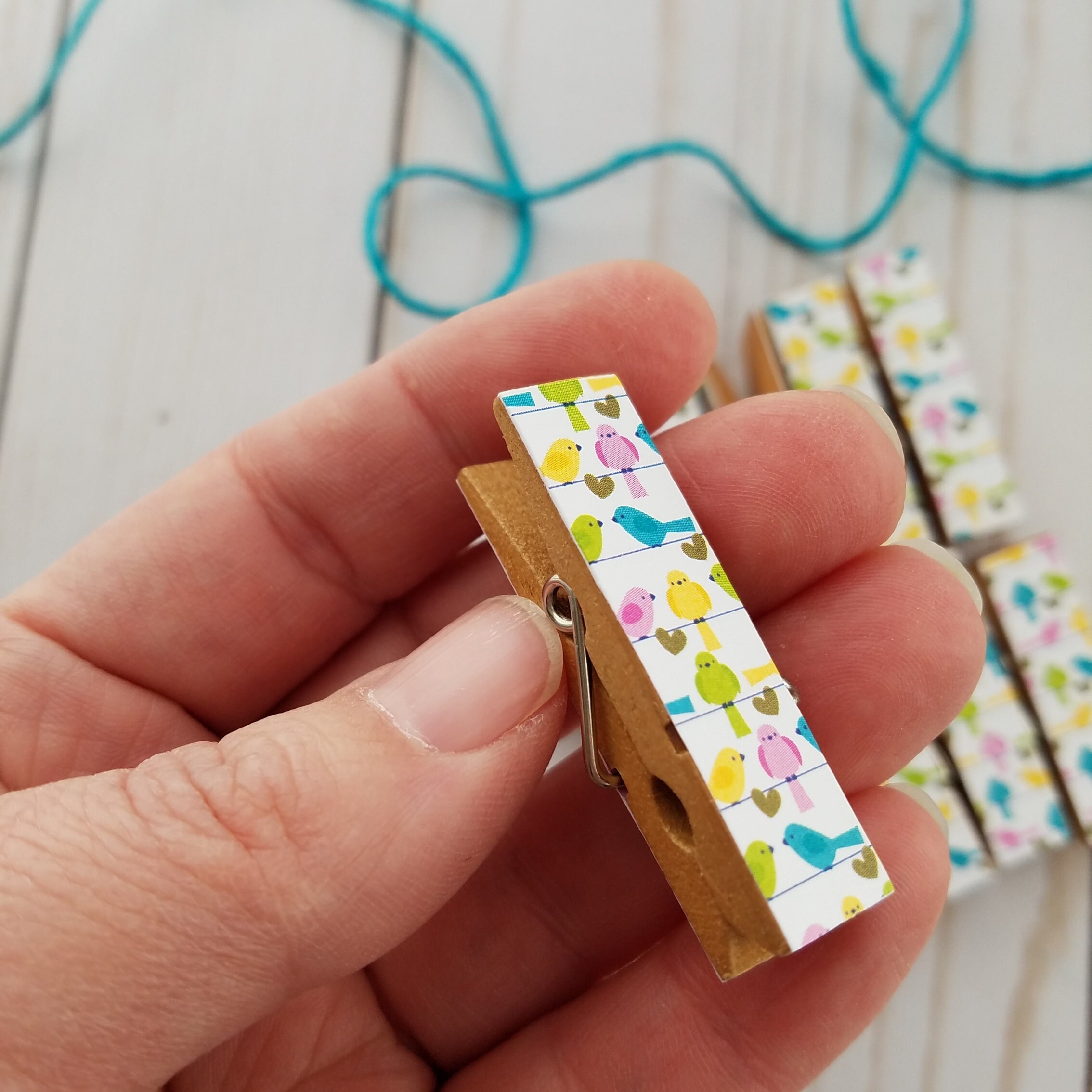 Teeny Tiny Birds, Clothesline Clips W Twine for Photo Display, Chunky  Little Clothespin Set of 12, Gifts for Her, Birdwatcher, Bird Lover 