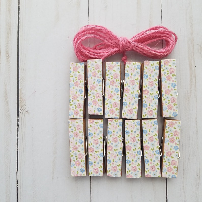 Natural Summer Romantic Wild Flowers Clips w Twine for Photo Display Wedding Shower Clothesline Chunky Little Clothespin Set of 12