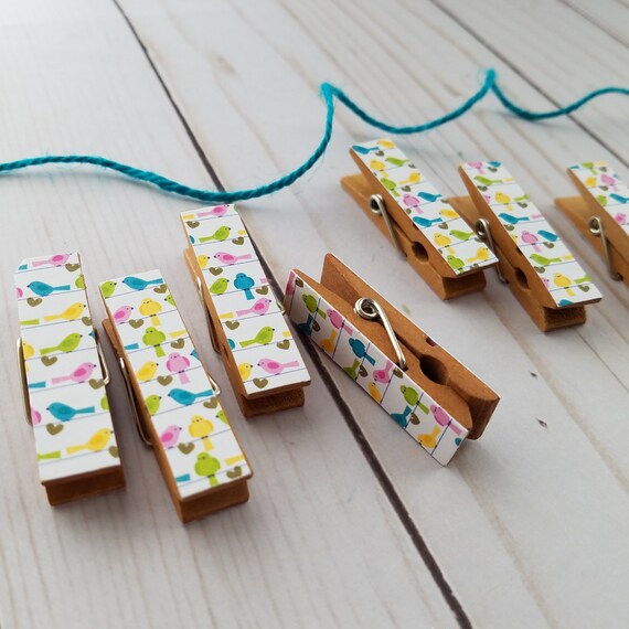 Natural Summer Romantic Wild Flowers Clips w Twine for Photo Display Wedding Shower Clothesline Chunky Little Clothespin Set of 12