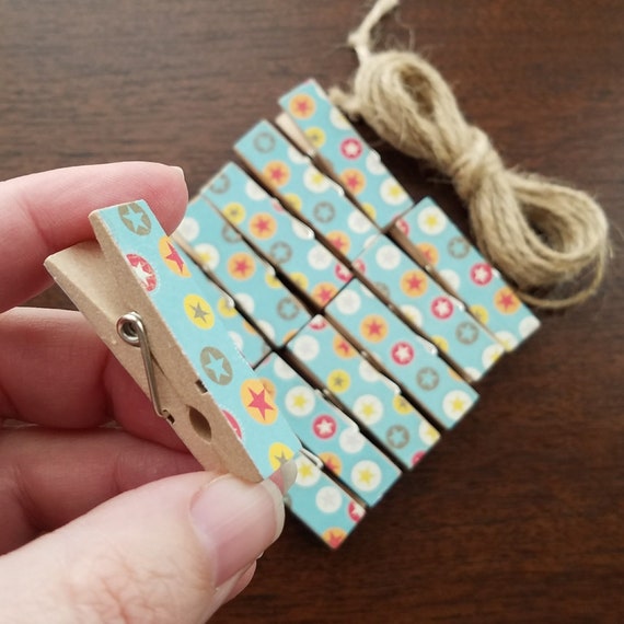Natural Summer Romantic Wild Flowers Clips w Twine for Photo Display Wedding Shower Clothesline Chunky Little Clothespin Set of 12