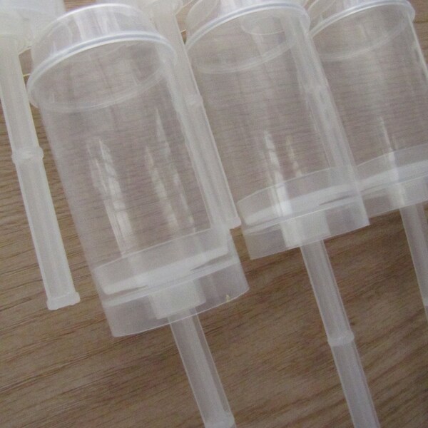 Push Cake Pop Containers with Lids - Set of 6 - Ready to Ship