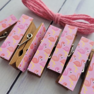 Teeny Tiny Birds, Clothesline Clips W Twine for Photo Display, Chunky  Little Clothespin Set of 12, Gifts for Her, Birdwatcher, Bird Lover 