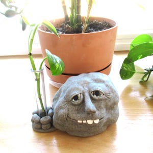 Rock person and propagation station, rooting vase