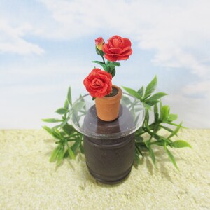 May include: A miniature potted rose plant with three red flowers in a terracotta pot, sitting on a small wooden table with a clear glass top.