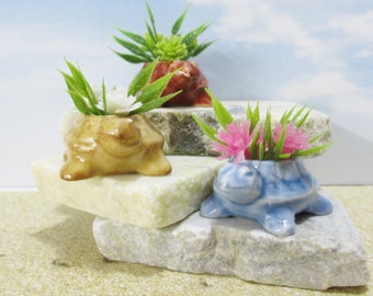 Miniature ceramic turtle planter