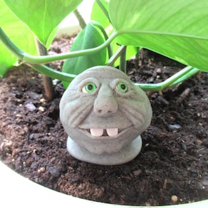 May include: A whimsical, gray stone garden gnome with a smiling face, green eyes, and two white teeth. The gnome is nestled in a pot of soil, surrounded by green plant leaves. A unique garden decoration.