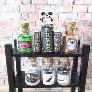 Set of 5 Miniature bottles of potions and skull with books