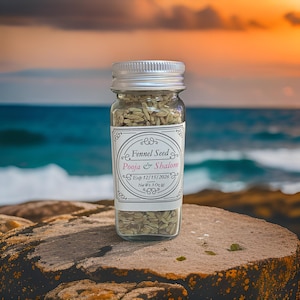 Fennel Seeds