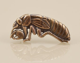 Cicada Nymph Pin • Solid Bronze, Sterling Silver, or Pink Silver • Lost Wax Cast