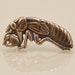 see more listings in the Insects and Arthropods section