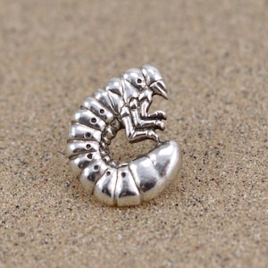 May include: A silver-coloured, detailed, curled-up grub insect charm. The grub is curled into a circle with its head and legs visible.
