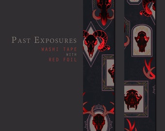 Past Exposures Washi Tape