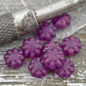 Flower Beads - New Czech Beads - Czech Glass Beads - Cactus Flower - 9mm - 25pcs - (5972)