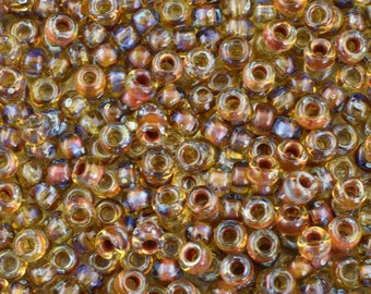 Picasso Seed Beads - Size 8 Seed Beads - Miyuki 4501 - 5" Tube - (404)