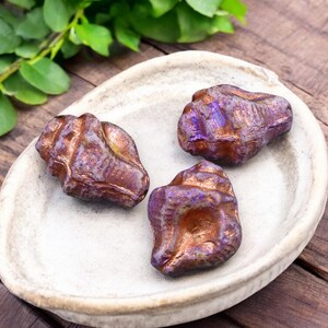 May include: Three iridescent seashells in shades of purple and copper on a white ceramic plate. The shells have a rough, textured surface.