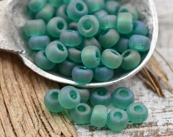 Czech Glass Beads - Seed Beads - Size 2 Beads - 2/0 Beads - Large Hole Beads - 6x4mm - 50 grams (5735)