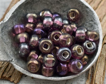 Czech Glass Beads - Seed Beads - Size 2 Beads - 2/0 Beads - Large Hole Beads - 6x4mm - 50 grams (6038)